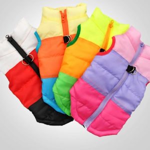 Winter Colorful Vests