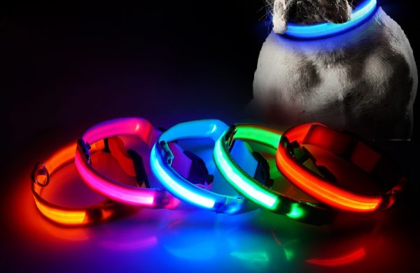 USB Charged LED Dog Collar