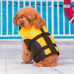 Small Dog Pet Life Jacket
